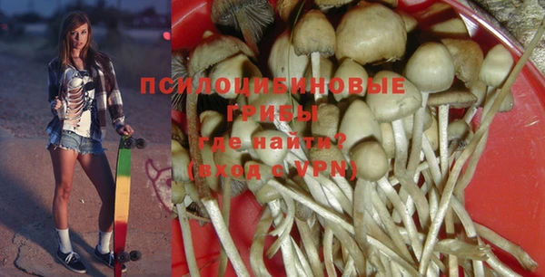 apvp Зеленодольск
