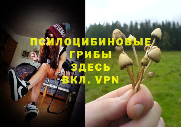 твердый Зеленокумск