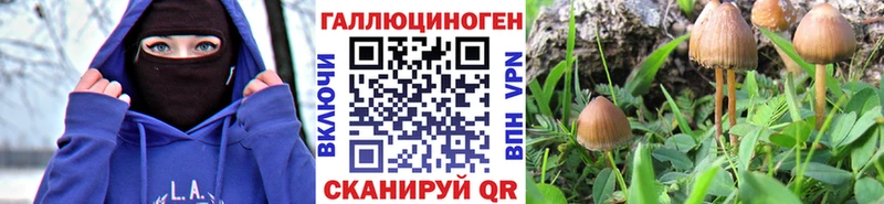 гидра ONION  Луза  Псилоцибиновые грибы Psilocybine cubensis 